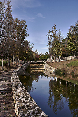 포토 JPG 해외이미지 나무 공원 공공시설 산업 길 농업 자국 자연 사람없음 야외 초록색 물 강 일출 힘 산책 사막 흐름 에너지 시골 오픈 개울 숲 땅 대문 운하 시스템 공학 경영 밭일 분배 제어 콘크리트 해외202309 해외포토 자연요소 식물 교육 컬러 컨셉 비즈니스 휴식 문 노을 시설 생태계 파일형식