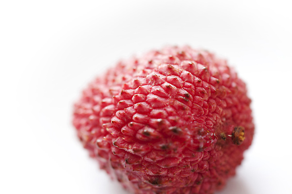 포토 JPG 해외이미지 음식 과일 사람없음 흰색 거친 피부 질감 다육식물 이국적 해외202309 해외포토 식물 컬러 신체부위 파일형식