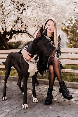 포토 JPG 해외이미지 전신 한마리 공원 여자 반려견 벤치 한명 앉기 성인 야외 앞모습 산책 잡기 대형견 목줄 성인여자한명만 쓰다듬기 그레이트덴 해외202309 해외포토 1 공공시설 뷰포인트 의자 모션 휴식 사람 반려동물 개 여자한명만 성인여자만 파일형식 반려용품