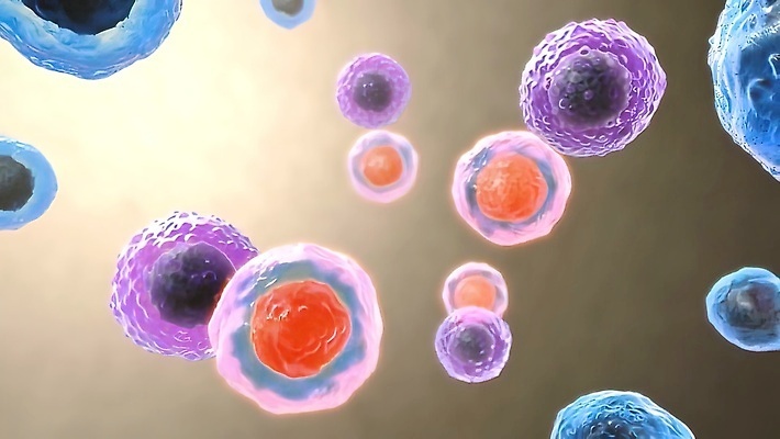 포토 JPG 해외이미지 과학 일러스트 세포 사람없음 컴퓨터그래픽 약 건강관리 바이러스 확대 질병 생물학 만들기 단백질 인슐린 포도당 더스트파티클 해외202309 해외일러스트 교육 의학 모션 건강 관리 그래픽 영양소 파일형식