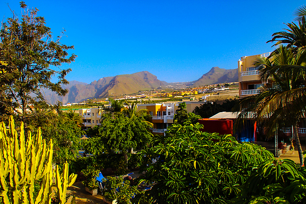포토 JPG 해외이미지 유럽 바다 섬 여행 백그라운드 자연 하늘 휴가 산 아파트 수영장 파노라마 사람없음 야외 초록색 물 파란색 하이앵글 컬러풀 야자수 햇빛 뷰티 여행객 평화 마을 계곡 흰색 스페인 지중해 언덕 그림 휴양지 화산 로스앤젤레스 랜드마크 이국적 파라다이스 수평선 해외202309 해외포토 자연요소 나무 나라 뷰포인트 컬러 컨셉 주택 촬영기법 사람 태양 미국 장소 생태계 파일형식