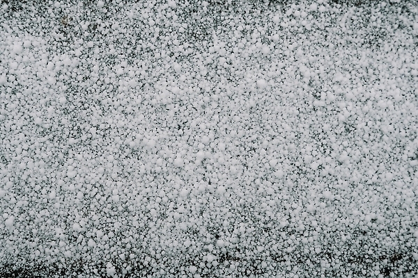 포토 JPG 해외이미지 식물 계절 공원 컬러 여행 백그라운드 잎 크리스마스 겨울 패턴 밭 자연 날씨 사람없음 야외 물 뷰티 환경 정원 냉동 얼음 추위 백발 흰색 신선 숲 시원함 크리스탈 질감 서리 장면 전나무 내추럴 반투명 가문비나무 해외202309 해외포토 자연요소 나무 헤어스타일 공공시설 기념일 무늬 농업 광석 생태계 파일형식