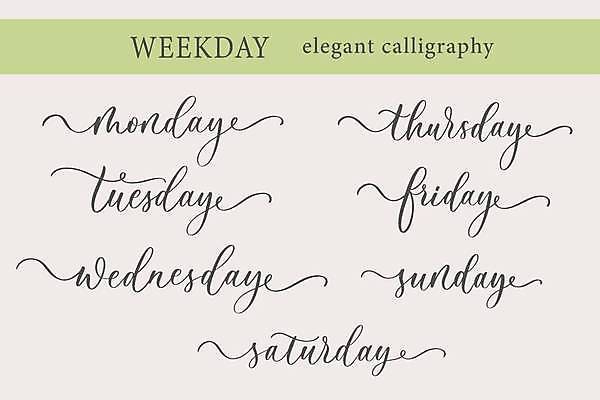 EPS 해외이미지 손 디자인 스티커 일러스트 캘리그라피 타이포그라피 검은색 달력 흰색 기록 인사 시간 신용카드 일주일 날짜 일요일 타입 고립 금요일 목요일 수요일 월요일 토요일 필기체 화요일 레터링 벡터 해외202309 해외일러스트 문자 컬러 신체부위 금융 예절 요일 파일형식