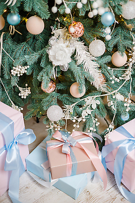 포토 JPG 해외이미지 나무 전통 디자인 계절 별 리본 백그라운드 크리스마스 겨울 휴가 전등 새로움 주택 기념 실내 선물 사람없음 내부 장식 초록색 빛 상자 장난감 뷰티 크리스마스트리 산타클로스 축제 화환 방 수확 흰색 축하 소나무 황금 고급 12월 연도 오브젝트 활 벽난로 전나무 리빙 크리스마스이브 해외202309 해외포토 자연요소 식물 기념일 꽃 컬러 컨셉 농업 조명 건물 날짜 파일형식