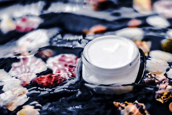 포토 JPG 해외이미지 조개 근접촬영 사람없음 고급 피부관리 스킨케어 기초화장품 수분크림 해외202309 해외포토 뷰포인트 컨셉 어패류 뷰티 화장품 파일형식