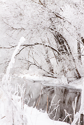 포토 JPG 해외이미지 나무 계절 공원 여행 백그라운드 겨울 자연 날씨 산 거리 사람없음 야외 강 뷰티 평화 냉동 얼음 침묵 고요 추위 안개 흰색 나뭇가지 소프트포커스 숲 언덕 그림 서리 장면 북쪽 내추럴 뿌연 눈내림 해외202309 해외포토 자연요소 식물 공공시설 컬러 컨셉 눈_날씨 촬영기법 소리 방향 생태계 파일형식