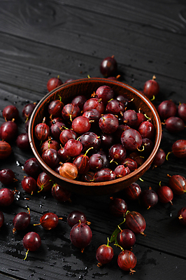 포토 JPG 해외이미지 계절 열매 음식 백그라운드 농업 다이어트 과일 재료 자연 디저트 건강 사람없음 목재 가로 빨간색 초록색 보라색 검은색 어둠 수확 시골 신선 그룹 시장 달콤 큼 먹기 고립 구스베리 밭일 숙성 채식주의자 많음 카피스페이스 비건 해외202309 해외포토 나무 식물 산업 컬러 컨셉 모션 공백 맛 크기 생태계 채식 파일형식