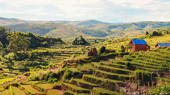 포토 JPG 해외이미지 나무 문화 음식 여행 농업 아프리카 자연 하늘 밥 산 주택 사람없음 야외 건물 초록색 파란색 농작물 뷰티 농장 노란색 마을 환경 계곡 맑음 시골 언덕 암초 산악지대 논밭 마다가스카르 밭일 이국적 해외202309 해외포토 식물 건축물 나라 산업 컬러 밭 날씨 논 생태계 파일형식