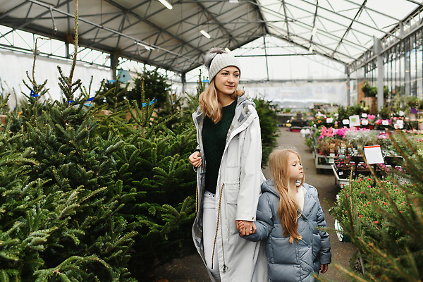 포토 JPG 해외이미지 나무 전통 딸 행복 감정 유럽 어린이 크리스마스 가족 엄마 휴가 새로움 새해 함께함 미소 웃음 야외 두명 장식 꼬리표 상점 축제 터치 바늘 시장 선택 구매 가격 연도 무역 침엽수 전나무 공평 슈퍼마켓 옛날 크리스마스이브 해외202309 해외포토 식물 기념일 나라 산업 컨셉 관계 표정 사람 쇼핑 라벨 도구 파일형식