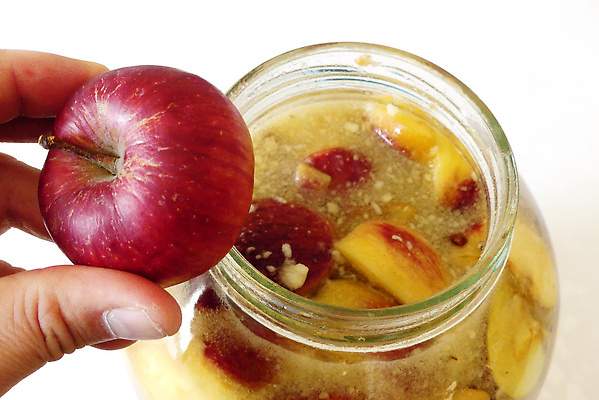 포토 JPG 해외이미지 전통 음료 백그라운드 과일 재료 주택 건강 요리 사람없음 초록색 주스 흰색 신선 항아리 사과 준비 유기농 날것 만들기 발효 성분 내추럴 식초 핸드메이드 해외202309 해외포토 웰빙 컬러 모션 건물 도자기 파일형식