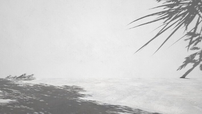 포토 JPG 해외이미지 디자인 꽃 벽 백그라운드 컨셉 잎 창문 탁자 추상 바닥 실내 그림자 서기 사람없음 내부 장식 여름 빛 햇빛 태양 뷰티 3D 화장품 공백 방 회색 무대 흰색 발표 상품 전시회 책상 질감 심플 쇼 장면 부드러움 지휘대 카피스페이스 미니멀리스트 미니멀 효과 비어있는 해외202309 해외포토 자연요소 식물 계절 컬러 가구 무늬 모션 전시 감각 디지털합성 파일형식