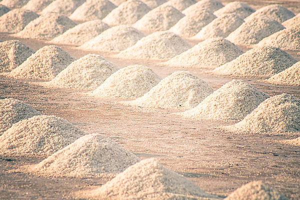 포토 JPG 해외이미지 모양 디자인 산업 아시아 바다 백그라운드 패턴 밭 농업 재료 태국 자연 추상 사람 사람없음 야외 물 농장 쌓기 흰색 농부 유기농 질감 소금 방법 해외202309 해외포토 자연요소 직업 웰빙 나라 컬러 무늬 모션 생태계 파일형식