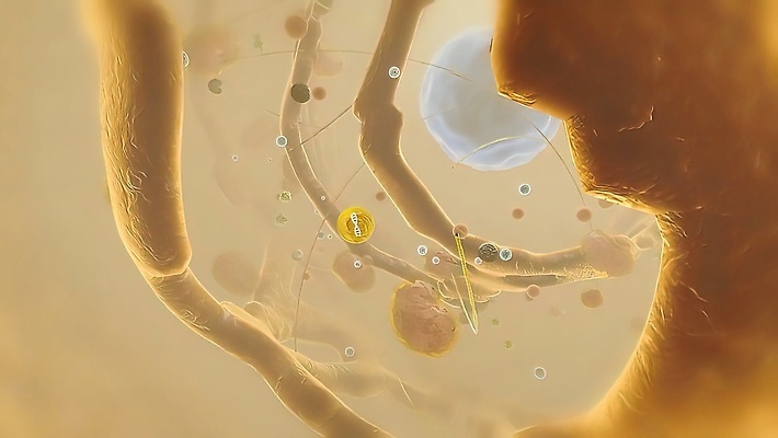 포토 JPG 해외이미지 디자인 과학 컨셉 패턴 인터넷 신체 일러스트 추상 미래 세포 건강 병원 실험 사람 사람없음 그래픽 파란색 약 건강관리 디지털 진화 바이러스 암호 DNA 생명공학 생물학 함선 원자 염색체 시스템 암 바이오 엘리먼트 인터페이스 가상 코로나바이러스 해외202309 해외포토 교육 컬러 무늬 배_교통 의학 관리 질병 소방 파일형식