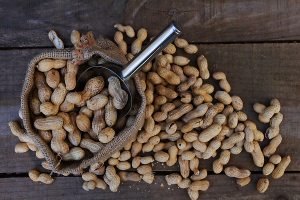 포토 JPG 해외이미지 음식 백그라운드 가방 재료 벽지 건강 씨앗 사람없음 목재 농작물 갈색 쌓기 숟가락 견과류 수확 그룹 맛 낟알 굽기 삽 묘사 유기농 날것 땅콩 흙더미 내추럴 많음 해외202309 해외포토 나무 식물 웰빙 잡화 컬러 컨셉 농업 모션 수저 흙 구이 파일형식 더미