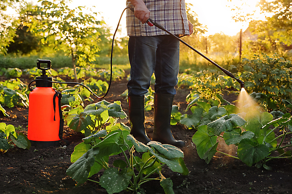 포토 JPG 해외이미지 식물 손 밭 농업 채소 부츠 한명 물 농작물 농장 농경지 정원 장비 성장 물방울 청바지 업무 독약 붓기 해충 보호 농부 원예 스프레이 분무기 거름 농약 밭일 스프링쿨러 원예사 조작 줄서기 화학물질 해외202309 해외포토 자연요소 직업 1 산업 신발 컨셉 바지 모션 사람 취미 신체부위 작업 화학 벌레 파일형식