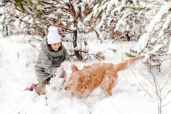 포토 JPG 해외이미지 전신 나무 여자 겨울 자연 한명 성인 야외 설원 산책 추위 골든리트리버 강아지 방한용품 성인여자한명만 해외202309 해외포토 식물 1 계절 휴식 눈_날씨 사람 반려동물 개 리트리버 오브젝트 생태계 여자한명만 성인여자만 파일형식