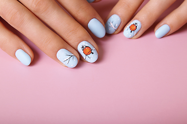 포토 JPG 해외이미지 직업 라이프스타일 손 디자인 여자 컬러 백그라운드 크리스마스 겨울 손가락 새로움 따뜻함 관리 미술 사람없음 파란색 뷰티 유행 상점 추위 흰색 못 우아함 정상 손톱관리 손톱 연도 스웨터 그림 광택 돌봄 자외선 스타일 해외202309 해외포토 계절 기념일 컨셉 상의 모션 문화예술 사람 생활 신체부위 공구 네일아트 파일형식