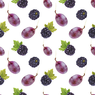 JPG 해외이미지 열매 패턴 일러스트 포도 사람없음 보라색 블랙베리 해외202309 해외일러스트 식물 컬러 무늬 과일 파일형식