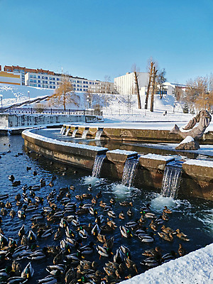 포토 JPG 해외이미지 동물 공원 남자 호수 야생동물 파도 겨울 자연 조류 아침 오리 서기 사람없음 야외 물 강 뷰티 반사 냉동 얼음 수영 산책 추위 연못 도시 눈송이 그룹 군중 큼 깃털 정사각형 백조 계산서 단아함 잔물결 화창 많음 해외202309 해외포토 주간 자연요소 도형 계절 공공시설 물결 바다 컨셉 모션 날씨 휴식 눈_날씨 사람 수상스포츠 크기 생태계 파일형식