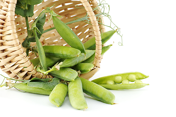 포토 JPG 해외이미지 식물 음식 백그라운드 잎 농업 다이어트 채소 재료 건강 씨앗 사람없음 초록색 바구니 식사 수확 흰색 신선 오픈 그룹 맛 오브젝트 유기농 완두콩 날것 칼로리 비타민 내추럴 고립 꼬투리 숙성 영양분 줄서기 채식주의자 해외202309 해외포토 웰빙 산업 컬러 컨셉 모션 콩 채식 영양소 파일형식