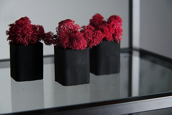 포토 JPG 해외이미지 라이프스타일 웰빙 디자인 백그라운드 촛불 불 휴식 주택 실내 통 건강 3 사랑 이끼 사람없음 내부 장식 빨간색 빛 뷰티 검은색 흰색 고급 냄비 시멘트 연소 고립 바디케어 콘크리트 스타일 해외202309 해외포토 자연요소 감정 컬러 컨셉 초 건물 생활 솥 파일형식