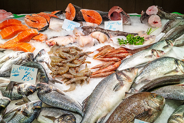 포토 JPG 해외이미지 동물 음식 바다 백그라운드 다이어트 재료 자연 낚시 조개 새우 건강 육류 갑각류 어류 요리 사람없음 판매 세일 얼음 식사 회색 신선 스페인 시장 은색 지중해 먹기 해산물 오징어 날것 도미 문어 연어 어장 바르셀로나 생식 세피아 소금물 많음 해외202309 해외포토 자연요소 유럽 컬러 컨셉 식재료 모션 레저 어패류 연체동물 촬영기법 수중동물 생태계 파일형식