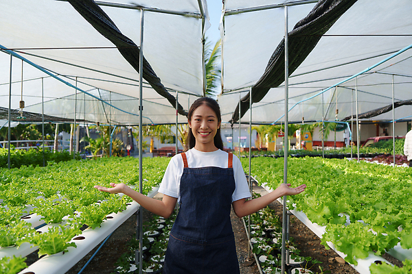 포토 JPG 해외이미지 식물 산업 음식 백그라운드 잎 밭 농업 채소 자연 건강 한명 초록색 물 농작물 농장 농경지 환경 정원 농사 샐러드 수확 성장 신선 농부 상추 유기농 원예 날것 내추럴 밭일 수경재배 영양분 온실 줄서기 채식주의자 해외202309 해외포토 자연요소 직업 1 웰빙 컬러 모션 사람 취미 생태계 채식 파일형식