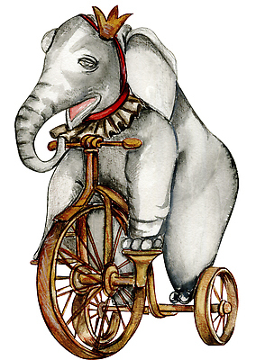 JPG 해외이미지 한마리 일러스트 코끼리 사람없음 자전거 서커스 해외202309 해외일러스트 1 포유류 바이크 파일형식