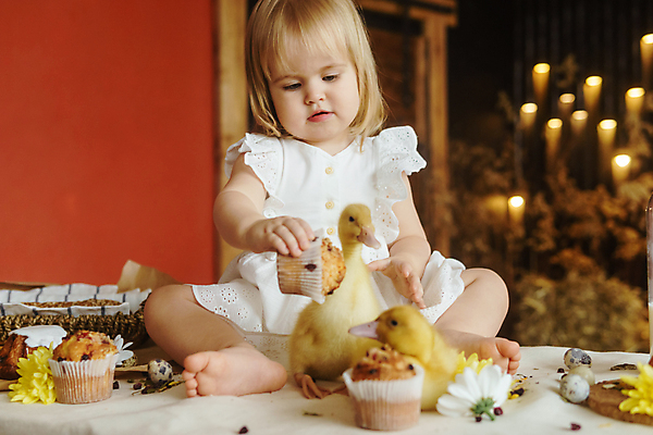 포토 JPG 해외이미지 전신 백인 여자 탁자 부활절 오리 한명 들기 앉기 앞모습 아기 머핀 여자아기한명만 해외202309 해외포토 서양인 1 기념일 빵 뷰포인트 가구 모션 조류 사람 여자한명만 여자아기만 파일형식