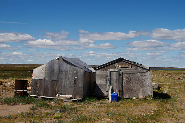 포토 JPG 해외이미지 캐나다 자연 날씨 주택 풍경 경사 사람없음 건물 목재 시골 떨어짐 작음 북극 버리기 북쪽 헛간 대각선 외양간 수목 썩음 옛날 해외202309 해외포토 나무 건축물 선 컨셉 북아메리카 재료 모션 크기 극지방 방향 생태계 저장고 파일형식