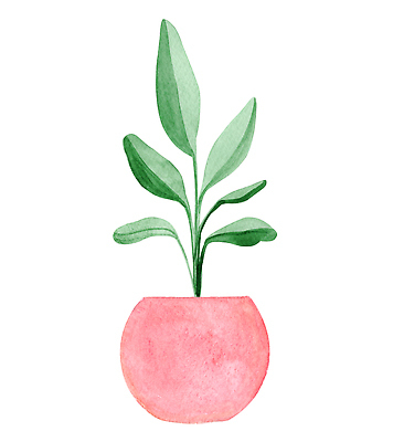 포토 JPG 해외이미지 나무 식물 꽃 화분 화초 분홍색 백그라운드 잎 꽃무늬 일러스트 자연 수채화 아파트 주택 실내 손바닥 미술 사람없음 내부 장식 초록색 정원 꽃병 봄 방 성장 흰색 신선 냄비 스케치 유기농 손그림 내추럴 고립 생태학 심기 이국적 그리너리 해외202309 해외일러스트 손 웰빙 계절 교육 컬러 무늬 모션 문화예술 건물 솥 생태계 파일형식 트랜드컬러