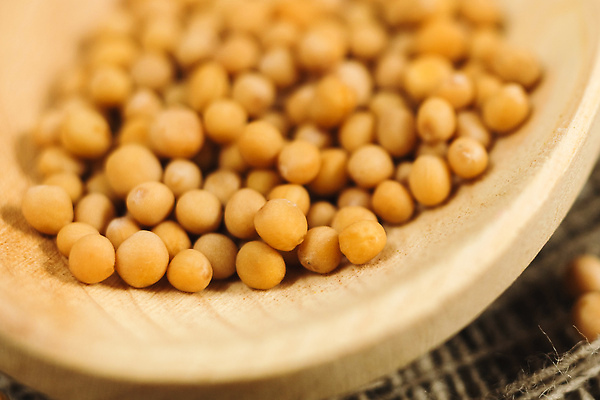 포토 JPG 해외이미지 식물 전통 접시 음식 재료 건강 요리 씨앗 사람없음 갈색 노란색 숟가락 프랑스 흰색 항아리 원형 양념 조미료 사발 상품 낟알 머스터드 향신료 유기농 매움 날것 아로마 향 아로마테라피 내추럴 핸드메이드 해외202309 해외포토 도형 식기 웰빙 유럽 컬러 수저 도자기 사기그릇 소스_음식 맛 테라피 향미료 파일형식