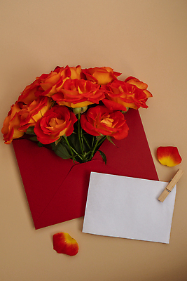 포토 JPG 해외이미지 템플릿 디자인 기념일 꽃잎 꽃 종이 분홍색 결혼 백그라운드 꽃무늬 텍스트 휴가 봉투 발렌타인데이 선물 사랑 사람없음 장식 빨간색 뷰티 장미 쪽지 놀람 봄 공백 낭만 벚꽃 흰색 축하 인사 신용카드 생일 메시지 편지 엽서 초대 구성 목업 플랫레이 카피스페이스 비어있는 해외202309 해외포토 식물 계절 감정 컬러 컨셉 무늬 데이이벤트 표정 이벤트 금융 예절 플랫 파일형식