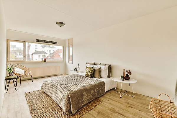 포토 JPG 해외이미지 식물 화분 의자 창문 탁자 사람없음 인테리어 카펫 공간 방 침대 해외202309 해외포토 디자인 가구 파일형식