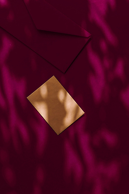 포토 JPG 해외이미지 종이 편지봉투 그림자 사람없음 햇빛 그늘 자주색 감성 카피스페이스 해외202309 해외포토 컬러 컨셉 봉투 태양 공백 편지 파일형식