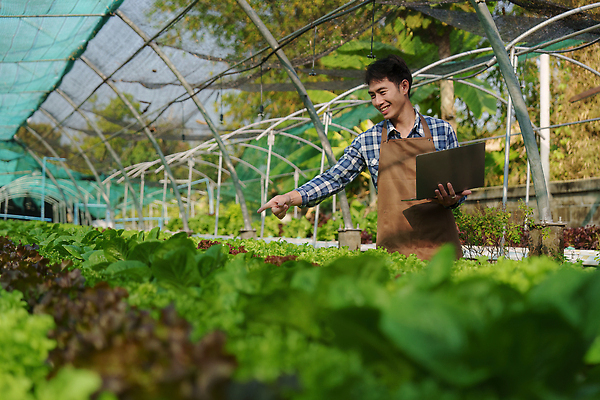 포토 JPG 해외이미지 식물 산업 음식 백그라운드 잎 밭 농업 채소 자연 건강 한명 초록색 물 농작물 농장 농경지 환경 정원 농사 샐러드 수확 성장 신선 농부 상추 유기농 원예 날것 내추럴 밭일 수경재배 영양분 온실 줄서기 채식주의자 해외202309 해외포토 자연요소 직업 1 웰빙 컬러 모션 사람 취미 생태계 채식 파일형식