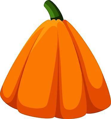 EPS 해외이미지 식물 디자인 계절 음식 컬러 백그라운드 컨셉 다이어트 채소 오렌지 일러스트 호박 휴가 건강 그래픽 장식 초록색 세트 할로윈 수확 흰색 축하 시장 플랫 낙서 큼 만화 심볼 오브젝트 그림 심플 윤곽 박 추수감사절 10월 내추럴 고립 숙성 채식주의자 벡터 해외202309 해외일러스트 기독교 농업 과일 날짜 크기 채식 파일형식