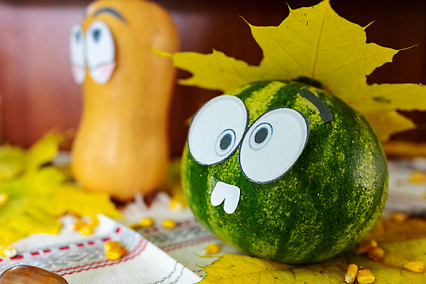 포토 JPG 해외이미지 식물 라이프스타일 디자인 교육 어린이 잎 채소 학교 자연 탁자 호박 휴가 수박 아이디어 기술 창조 선물 미술 취미 사람없음 장식 숫자 노란색 축제 유치원 재활용 피규어 가을 업무 상품 공예 천 전시회 기념품 공상 영웅 공평 주키니 프로젝트 핸드메이드 해외202309 해외포토 문자 계절 컬러 가구 컨셉 과일 문화예술 사람 생활 전시 미니어처 직물 작업 오브젝트 친환경 생태계 파일형식