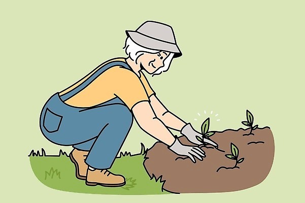 EPS 해외이미지 여자 노년 할머니 화초 일러스트 자연 관리 한명 흙 풀잎 원예 노인여자한명만 해외202309 해외일러스트 식물 1 잎 사람 성인 취미 풀_식물 생태계 여자한명만 노인여자만 파일형식 벡터