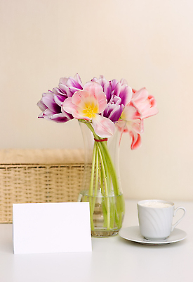 포토 JPG 해외이미지 디자인 꽃 커피 음료 벽 분홍색 꽃다발 백그라운드 꽃무늬 자연 탁자 주택 사람없음 내부 장식 컵 초록색 여름 컬러풀 뷰티 바구니 주방 꽃병 봄 방 튤립 수확 벚꽃 흰색 시골 인사 신용카드 차 아침식사 찻잔 다발 레이아웃 복고 목업 카피스페이스 해외202309 해외포토 식물 식기 계절 컬러 가구 무늬 농업 잔 건물 금융 식사 공백 예절 생태계 파일형식