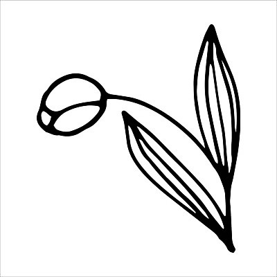 EPS 해외이미지 식물 디자인 꽃잎 꽃 선 줄기 결혼 잎 꽃무늬 일러스트 자연 잉크 발렌타인데이 미술 그래픽 장식 여름 연필 펜 정원 검은색 봄 낭만 튤립 벚꽃 축하 생일 우아함 낙서 스케치 문신 흰배경 그림 원예 윤곽 손그림 고립 벡터 해외202309 해외일러스트 계절 기념일 컬러 백그라운드 컨셉 무늬 데이이벤트 문화예술 학용품 이벤트 취미 필기구 흰색 생태계 파일형식