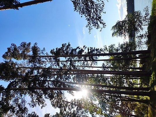 포토 JPG 해외이미지 구름 실루엣 호수 파도 바다 컬러 섬 여행 백그라운드 오렌지 자연 하늘 추상 휴가 휴식 풍경 사람없음 야외 빨간색 물 여름 파란색 빛 컬러풀 햇빛 태양 뷰티 반사 노란색 일출 황혼 일몰 새벽 저녁 칠면조 수평선 해외202309 해외포토 자연요소 계절 컨셉 무늬 과일 조류 촬영기법 노을 야간 생태계 파일형식