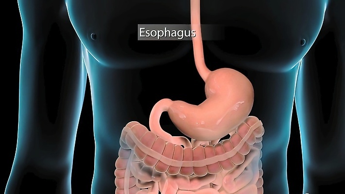 포토 JPG 해외이미지 남자 음식 과학 신체 일러스트 해부 추상 건강 사람 사람없음 내부 약 3D 인포그래픽 고통 오르간 질병 작음 큼 먹기 생물학 간 시스템 외과 돌봄 해외202309 해외포토 교육 감정 무늬 의학 모션 병원 장기_의학 건반악기 크기 디지털합성 파일형식