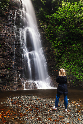 포토 JPG 해외이미지 공원 길 선 바다 여행 모션 자연 산 한명 사람없음 야외 초록색 물 강 뷰티 환경 검은색 산책 폭포 흐름 안개 신선 개울 황무지 숲 오솔길 명상 산등성이 북쪽 칠면조 내추럴 슬로모션 해외202309 해외포토 자연요소 1 공공시설 컬러 컨셉 조류 날씨 휴식 촬영기법 사람 방향 생태계 파일형식