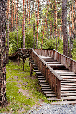 포토 JPG 해외이미지 나무 식물 계절 공원 도로 길 여행 백그라운드 잎 자국 자연 풍경 사람없음 목재 초록색 물 여름 빛 강 컬러풀 뷰티 평화 환경 정원 침묵 봄 산책 산책로 하이킹 가을 시골 보행자 황무지 숲 오솔길 방향 장면 내추럴 방법 옛날 해외202309 해외포토 자연요소 공공시설 컬러 컨셉 재료 교통시설 레저 휴식 소리 생태계 파일형식