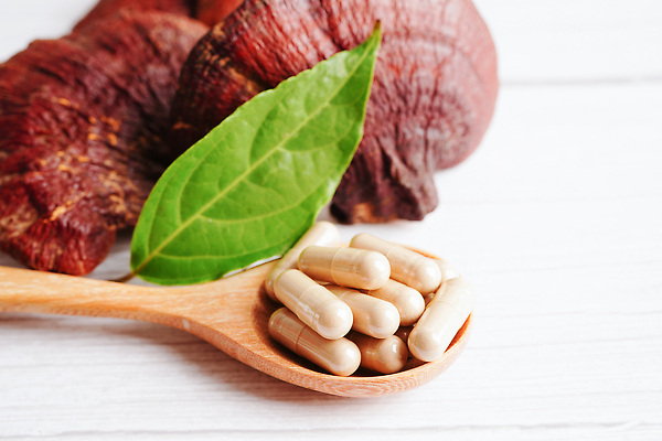 포토 JPG 해외이미지 잎 건강 사람없음 알약 약초 나무숟가락 영지버섯 해외202309 해외포토 식물 약 숟가락 버섯 풀_식물 파일형식