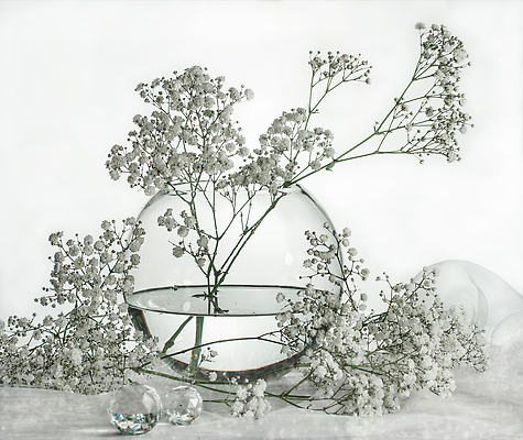 포토 JPG 해외이미지 식물 계절 꽃잎 꽃 백그라운드 꽃무늬 자연 흑백 선물 사랑 미술 사람없음 빛 뷰티 장미 머리 우주 정원 검은색 봄 회색 낭만 수확 벚꽃 흰색 개화 닫기 묘사 만족 싱글 질감 내추럴 고립 정물화 카피스페이스 해외202309 해외포토 감정 컬러 컨셉 무늬 농업 모션 문화예술 촬영기법 신체부위 공백 그림 생태계 파일형식