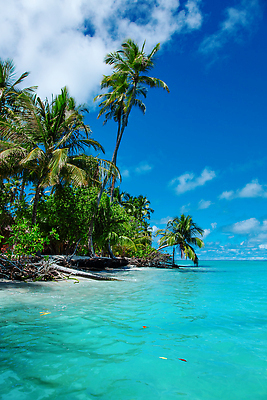 포토 JPG 해외이미지 나무 구름 모래 바다 섬 여행 백그라운드 잎 자연 하늘 휴가 휴식 손바닥 풍경 사람없음 야외 초록색 물 여름 파란색 맑음 놀람 꿈 전원 휴양지 코코넛 포트 석호 몰디브 이국적 터키석 파라다이스 해외202309 해외포토 자연요소 식물 손 계절 감정 아시아 컬러 컨셉 과일 날씨 표정 장소 전기에너지 보석 생태계 파일형식