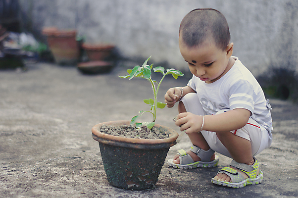 포토 JPG 해외이미지 나무 식물 손 공원 행복 화분 지구 어린이 백그라운드 컨셉 잎 청소년 자연 건강 한명 사람 야외 건물 초록색 햇빛 뷰티 새싹 환경 정원 맑음 흙 봄 성장 신생아 신선 잡기 작음 환경보전 원예 먼지 내추럴 돌봄 모종 생태학 해외202309 해외포토 1 건축물 계절 공공시설 교육 감정 컬러 모션 날씨 취미 신체부위 태양 아기 크기 사회이슈 생태계 파일형식