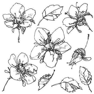 EPS 해외이미지 식물 꽃 선 잎 꽃무늬 일러스트 자연 잉크 미술 그래픽 여름 세트 연필 펜 정원 검은색 봄 흰색 스케치 오브젝트 그림 윤곽 타격 해외202309 해외일러스트 계절 컬러 무늬 모션 문화예술 학용품 필기구 생태계 파일형식 벡터